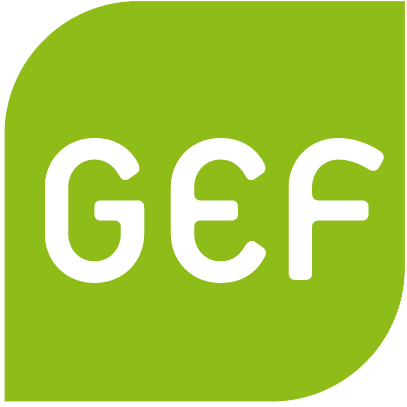 Green European Foundation